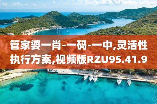 管家婆一肖-一码-一中,灵活性执行方案,视频版RZU95.41.90