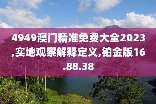 4949澳门精准免费大全2023,实地观察解释定义,铂金版16.88.38