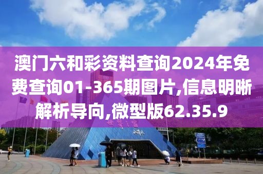 澳门六和彩资料查询2024年免费查询01-365期图片,信息明晰解析导向,微型版62.35.9