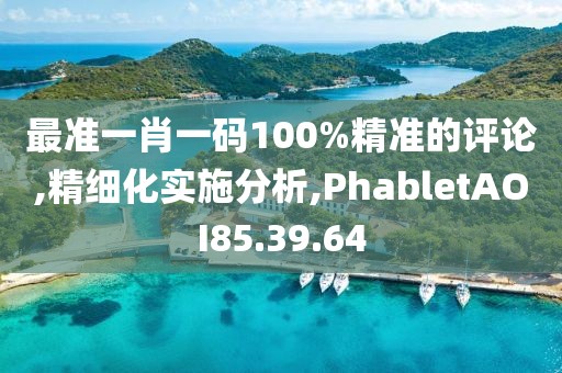 最准一肖一码100%精准的评论,精细化实施分析,PhabletAOI85.39.64