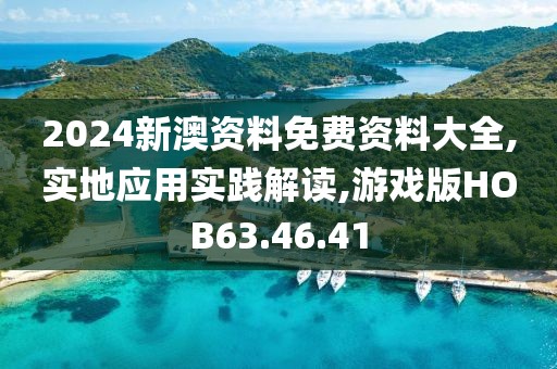 2024新澳资料免费资料大全,实地应用实践解读,游戏版HOB63.46.41