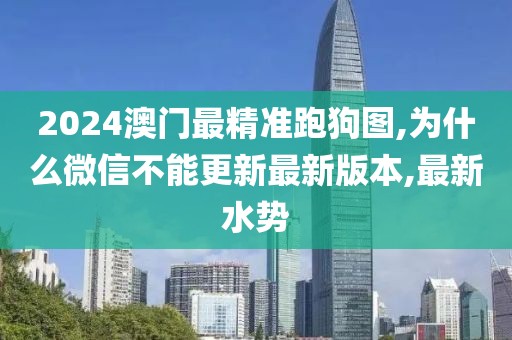 2024澳门最精准跑狗图,为什么微信不能更新最新版本,最新水势