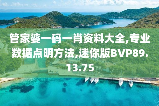 管家婆一码一肖资料大全,专业数据点明方法,迷你版BVP89.13.75