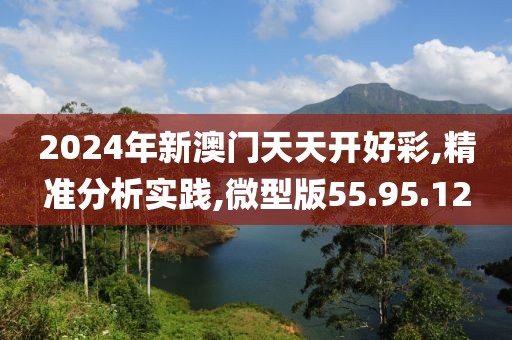 2024年新澳门天天开好彩,精准分析实践,微型版55.95.12