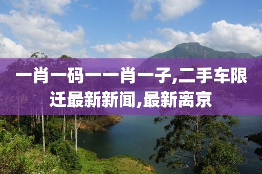 一肖一码一一肖一子,二手车限迁最新新闻,最新离京