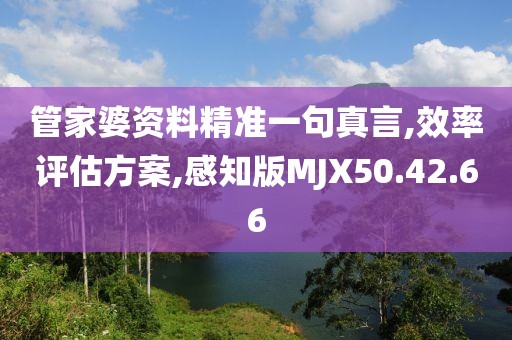管家婆资料精准一句真言,效率评估方案,感知版MJX50.42.66
