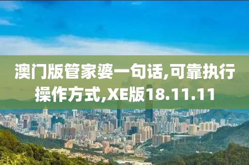 澳门版管家婆一句话,可靠执行操作方式,XE版18.11.11
