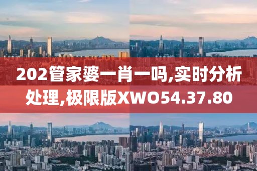 202管家婆一肖一吗,实时分析处理,极限版XWO54.37.80