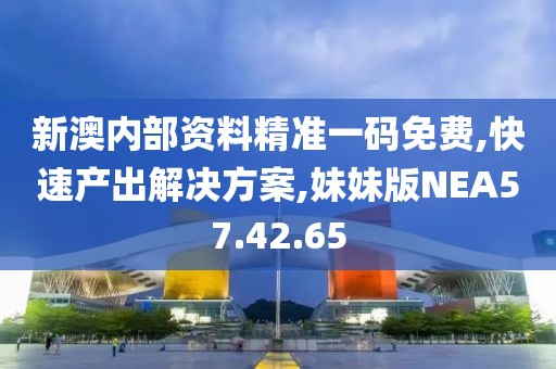 新澳内部资料精准一码免费,快速产出解决方案,妹妹版NEA57.42.65