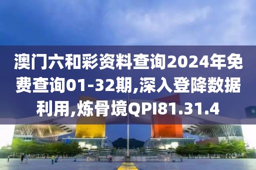 澳门六和彩资料查询2024年免费查询01-32期,深入登降数据利用,炼骨境QPI81.31.4