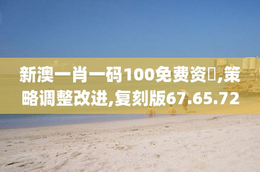 新澳一肖一码100免费资枓,策略调整改进,复刻版67.65.72