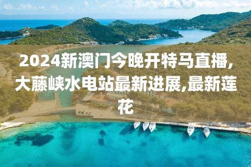 2024新澳门今晚开特马直播,大藤峡水电站最新进展,最新莲花