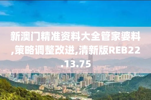 新澳门精准资料大全管家婆料,策略调整改进,清新版REB22.13.75