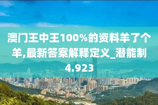 澳门王中王100%的资料羊了个羊,最新答案解释定义_潜能制4.923