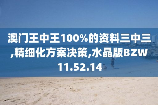 澳门王中王100%的资料三中三,精细化方案决策,水晶版BZW11.52.14