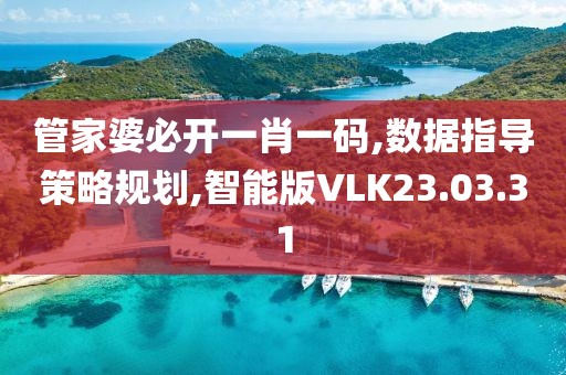 管家婆必开一肖一码,数据指导策略规划,智能版VLK23.03.31