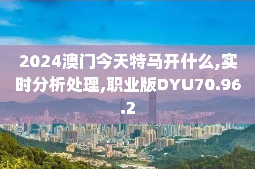 2024澳门今天特马开什么,实时分析处理,职业版DYU70.96.2