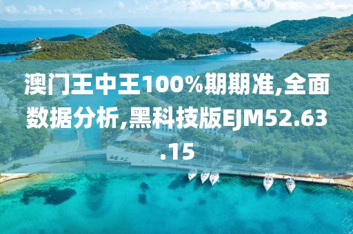 澳门王中王100%期期准,全面数据分析,黑科技版EJM52.63.15
