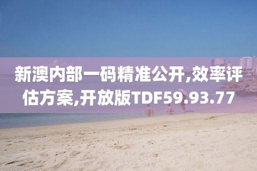 新澳内部一码精准公开,效率评估方案,开放版TDF59.93.77