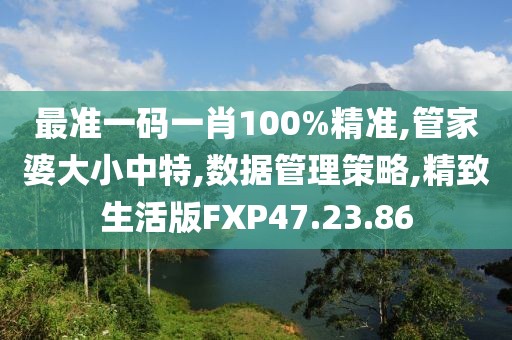 最准一码一肖100%精准,管家婆大小中特,数据管理策略,精致生活版FXP47.23.86
