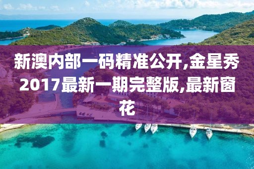 新澳内部一码精准公开,金星秀2017最新一期完整版,最新窗花