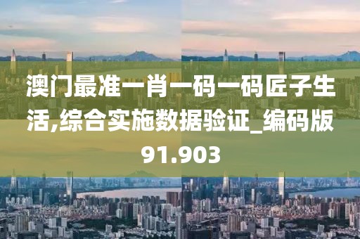 澳门最准一肖一码一码匠子生活,综合实施数据验证_编码版91.903