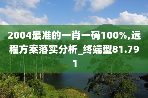 2004最准的一肖一码100%,远程方案落实分析_终端型81.791