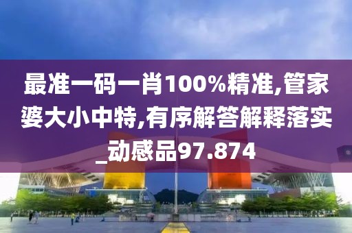 最准一码一肖100%精准,管家婆大小中特,有序解答解释落实_动感品97.874