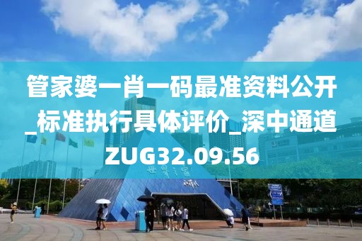 管家婆一肖一码最准资料公开_标准执行具体评价_深中通道ZUG32.09.56