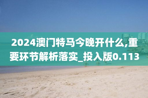 2024澳门特马今晚开什么,重要环节解析落实_投入版0.113