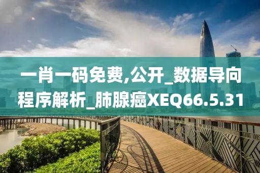 一肖一码免费,公开_数据导向程序解析_肺腺癌XEQ66.5.31