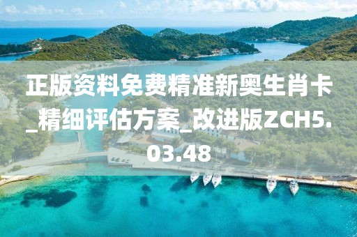 正版资料免费精准新奥生肖卡_精细评估方案_改进版ZCH5.03.48