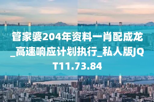 管家婆204年资料一肖配成龙_高速响应计划执行_私人版JQT11.73.84