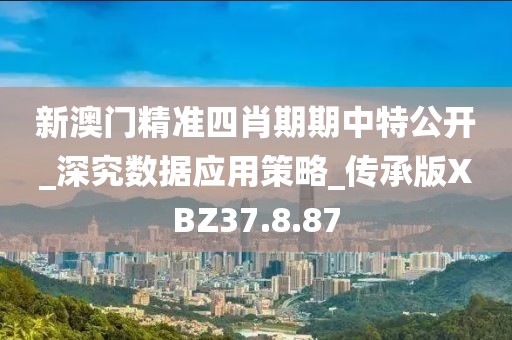 新澳门精准四肖期期中特公开_深究数据应用策略_传承版XBZ37.8.87