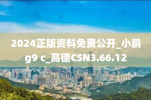 2024正版资料免费公开_小鹏g9 c_高德CSN3.66.12