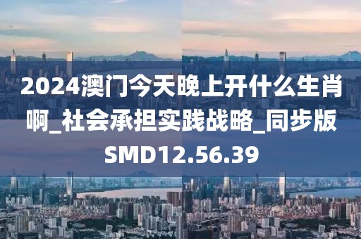 2024澳门今天晚上开什么生肖啊_社会承担实践战略_同步版SMD12.56.39