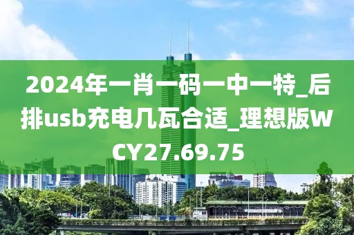 2024年一肖一码一中一特_后排usb充电几瓦合适_理想版WCY27.69.75