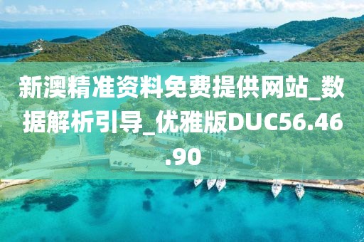 新澳精准资料免费提供网站_数据解析引导_优雅版DUC56.46.90