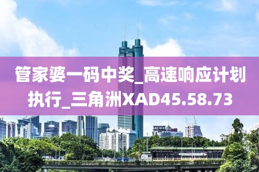 管家婆一码中奖_高速响应计划执行_三角洲XAD45.58.73