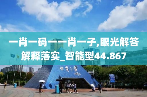 一肖一码一一肖一子,眼光解答解释落实_智能型44.867