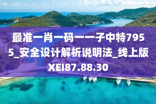 最准一肖一码一一子中特7955_安全设计解析说明法_线上版XEI87.88.30