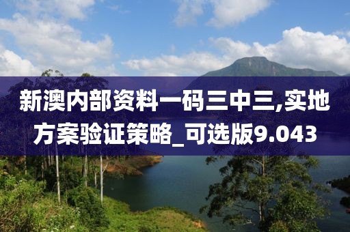 新澳内部资料一码三中三,实地方案验证策略_可选版9.043