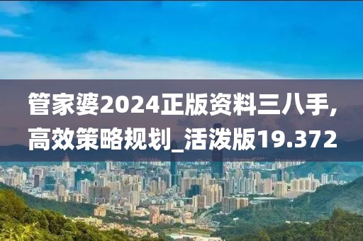 管家婆2024正版资料三八手,高效策略规划_活泼版19.372