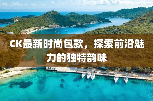 CK最新时尚包款，探索前沿魅力的独特韵味