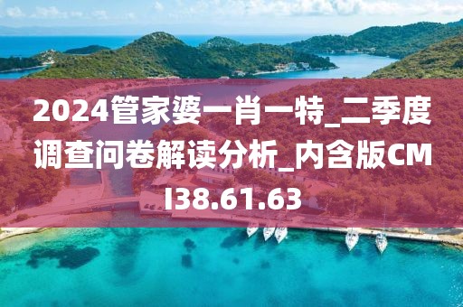 2024管家婆一肖一特_二季度调查问卷解读分析_内含版CMI38.61.63