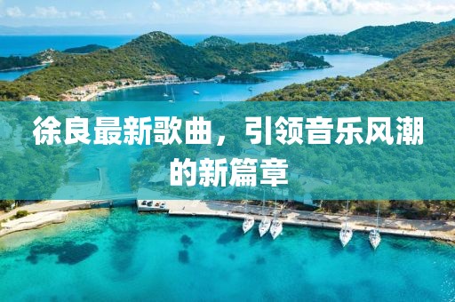 徐良最新歌曲，引领音乐风潮的新篇章