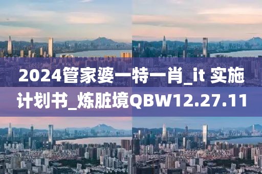 2024管家婆一特一肖_it 实施计划书_炼脏境QBW12.27.11