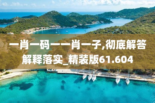 一肖一码一一肖一子,彻底解答解释落实_精装版61.604