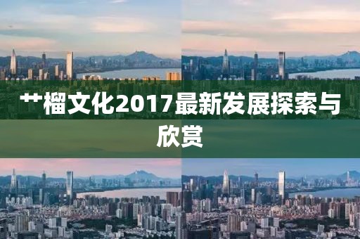 澳门正版资料2024 第50页