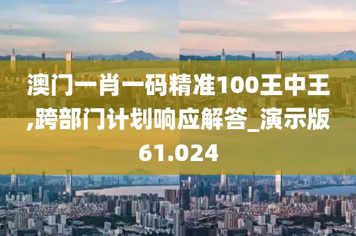 澳门一肖一码精准100王中王,跨部门计划响应解答_演示版61.024